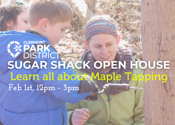 A naturalist helping two children use a historic drill to tap a maple tree